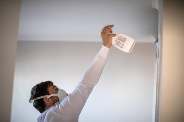 Attic Mold Removal in Farmington, MN